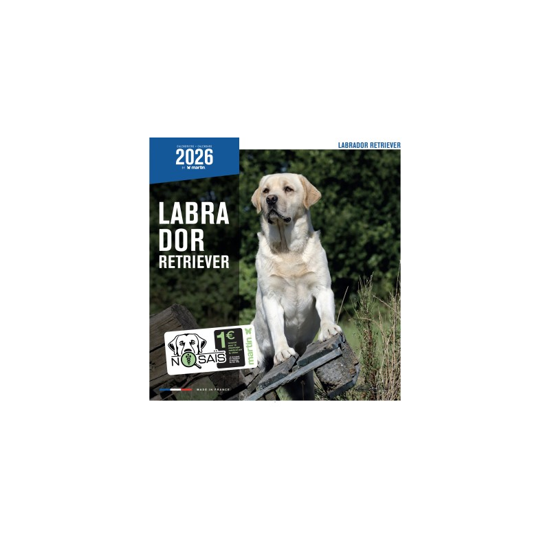 Calendrier mural Labrador Retriever 2026 - Martin