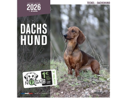 Calendrier chien 2026 - Teckel - Martin | Calendrier mural 16 mois