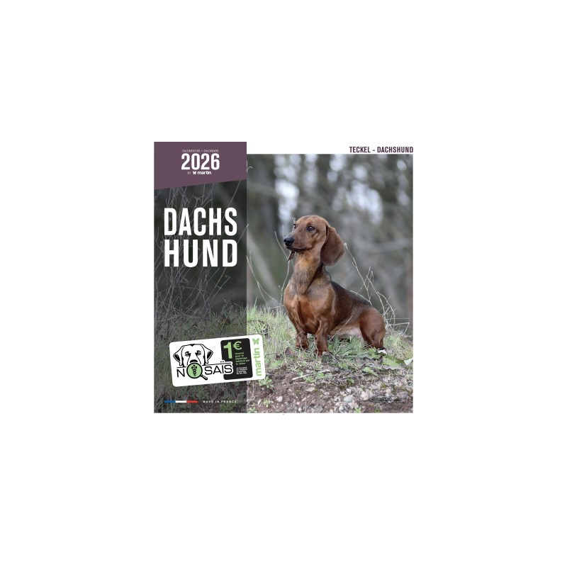 Calendrier chien 2026 - Teckel - Martin | Calendrier mural 16 mois