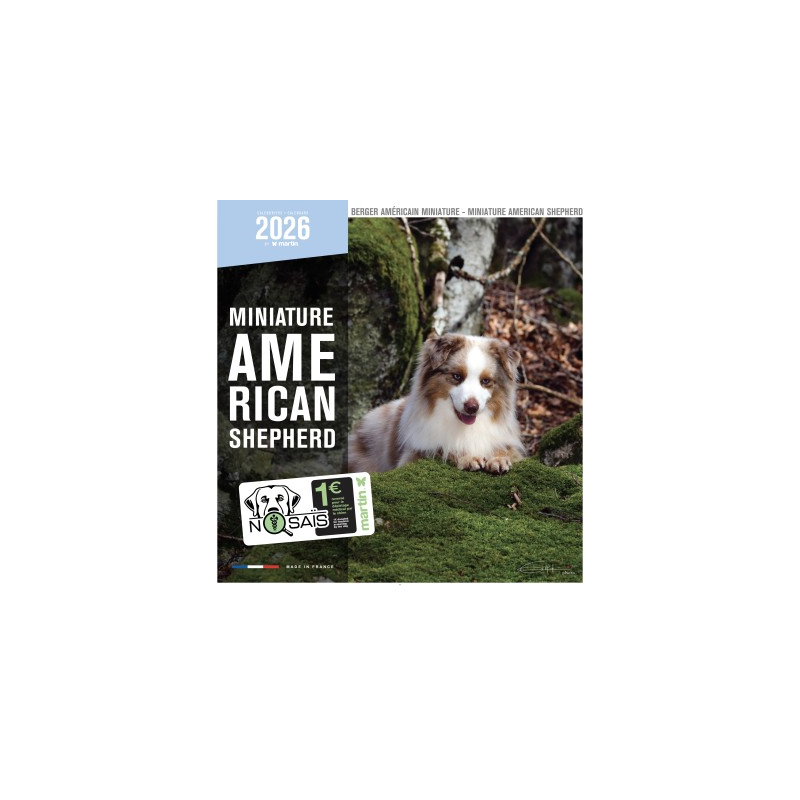 Calendrier chien 2026 - Berger Américain Miniature - Martin