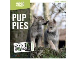 Calendrier chien 2026 - Chiots - Martin