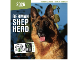 Calendrier chien 2026 - Berger allemand - Martin | Calendrier mural