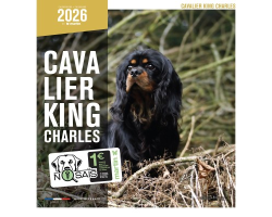 Calendrier chien 2026 - Cavalier King Charles - Martin | Animalerie