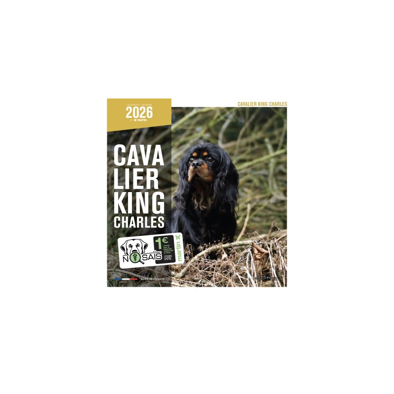 Calendrier chien 2026 - Cavalier King Charles - Martin | Animalerie