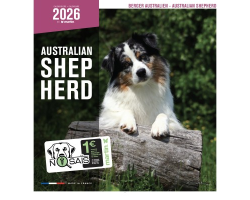 Calendrier Chien 2026 - Berger Australien - Martin | Mural et Pratique