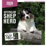 Calendrier Chien 2026 - Berger Australien - Martin | Mural et Pratique