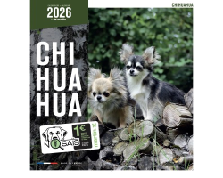 Calendrier chien 2026 - Chihuahua - Martin | Calendrier mural