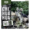 Calendrier chien 2026 - Chihuahua - Martin | Calendrier mural