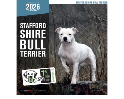 Calendrier chien 2026 - Stafford Shire Bull Terrier