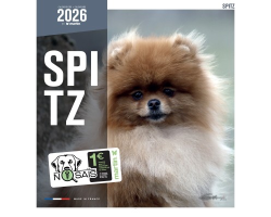 Calendrier mural 2026 - Spitz de Martin | Chiens