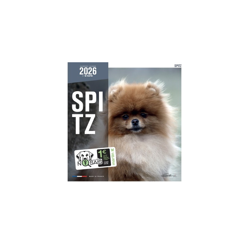 Calendrier mural 2026 - Spitz de Martin | Chiens