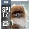 Calendrier mural 2026 - Spitz de Martin | Chiens
