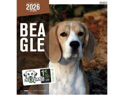 Calendrier chien 2026 - Beagle - Martin