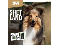 Calendrier chien 2026 - Shetland - Martin | Calendrier mural haut de gamme