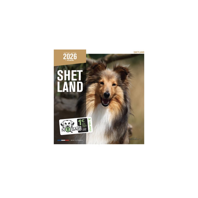 Calendrier chien 2026 - Shetland - Martin | Calendrier mural haut de gamme
