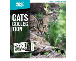 Calendrier chat 2026 - Chats - Martin | Calendrier mural félin