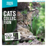 Calendrier chat 2026 - Chats - Martin | Calendrier mural félin