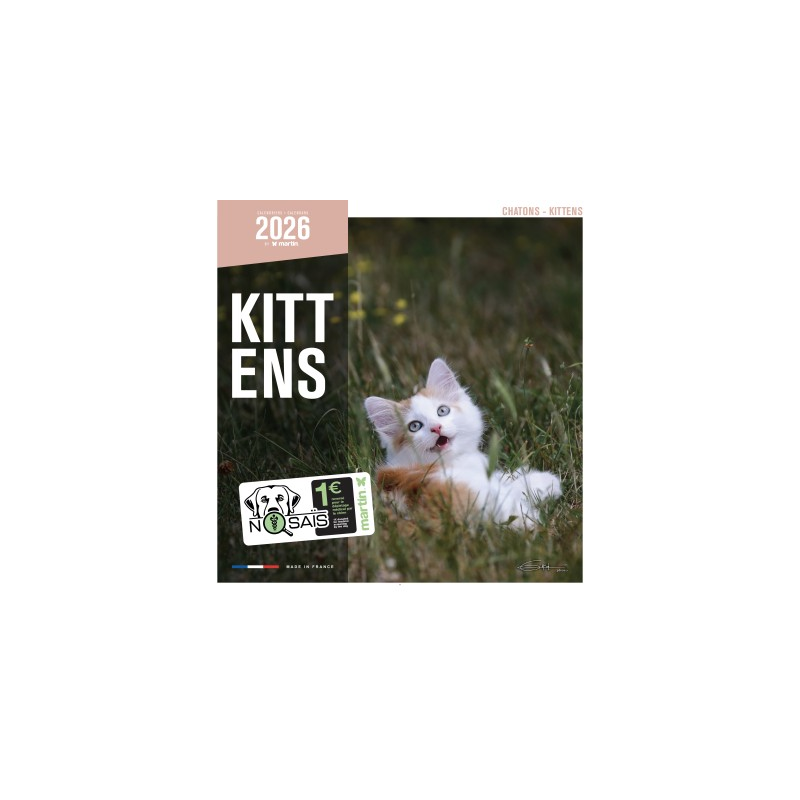 Calendrier 2026 - Chatons - Martin | Amoureux des Chats
