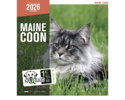 Calendrier chat Maine Coon 2026 - Martin | Élégance et praticité