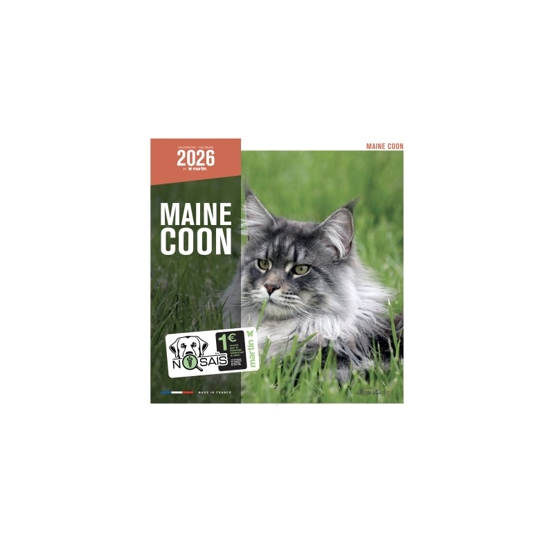 Calendrier chat Maine Coon 2026 - Martin | Élégance et praticité