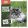 Calendrier chat Maine Coon 2026 - Martin | Élégance et praticité