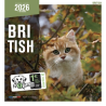 Calendrier chat 2026 - British - Martin | Calendrier MURAL