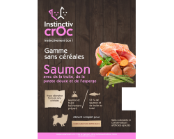 Croquettes sans céréales au saumon pour chien de petite race - INSTINCTIV CROC