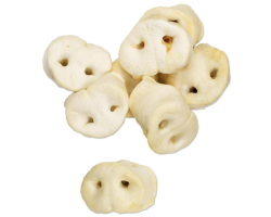 Nez de cochon soufflé pour chiens - Lot de 50 pièces