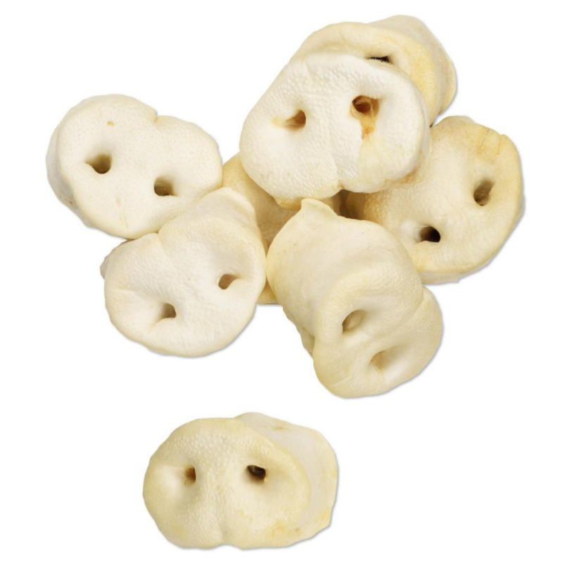 Nez de cochon soufflé pour chiens - Lot de 50 pièces