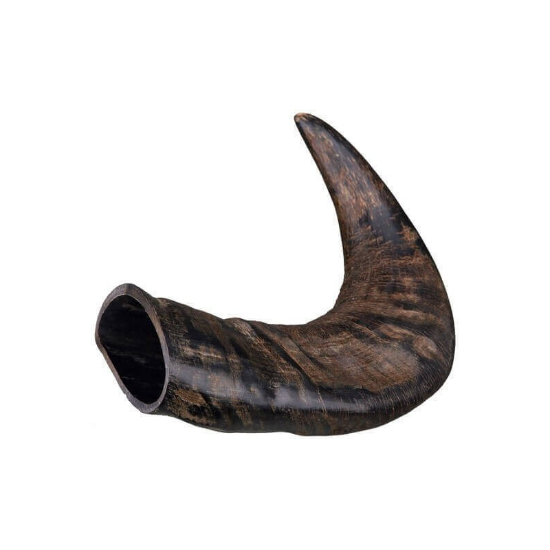 Corne de buffle à mâcher pour chiens | Soin dentaire naturel