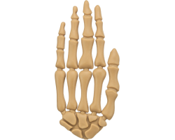 Friandise à mâcher pour chien - Main d'Halloween | Snacks Chiens