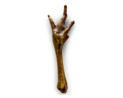 Pattes de dinde vrac - Friandises naturelles pour chien