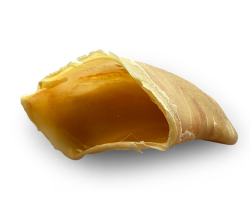 Sabot de veau à mâcher - Friandise naturelle pour chien
