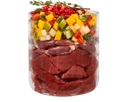 Terra Canis - Ragout au poulet pour chiens | Nourriture humide haut de gamme