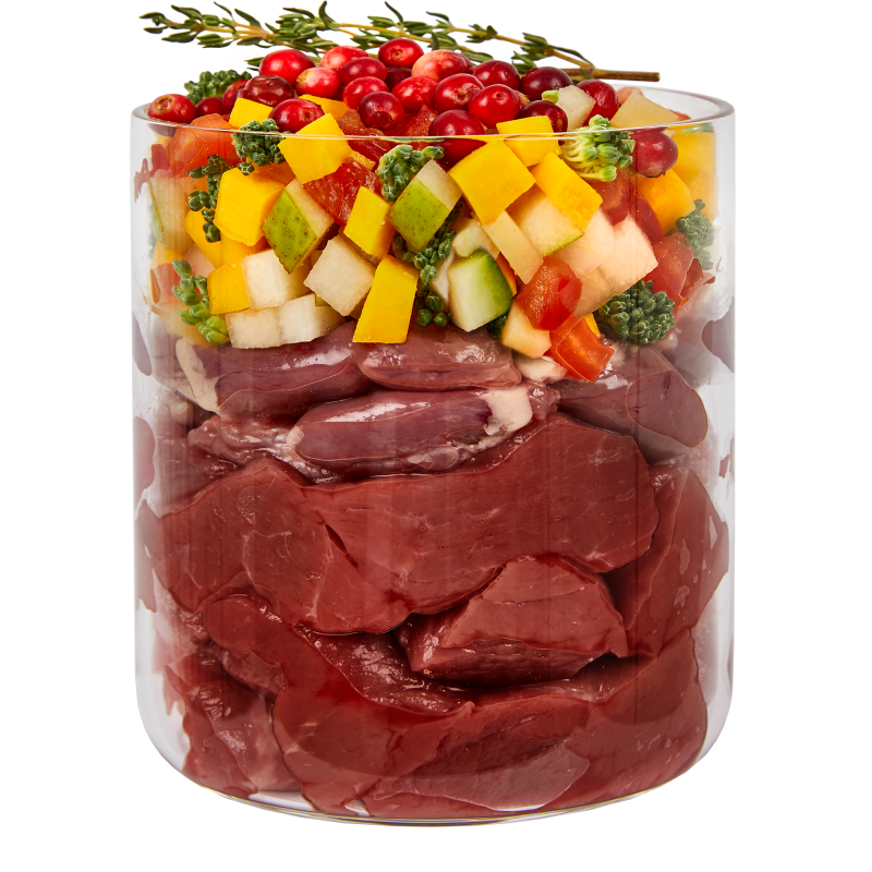 Terra Canis - Ragout au poulet pour chiens | Nourriture humide haut de gamme