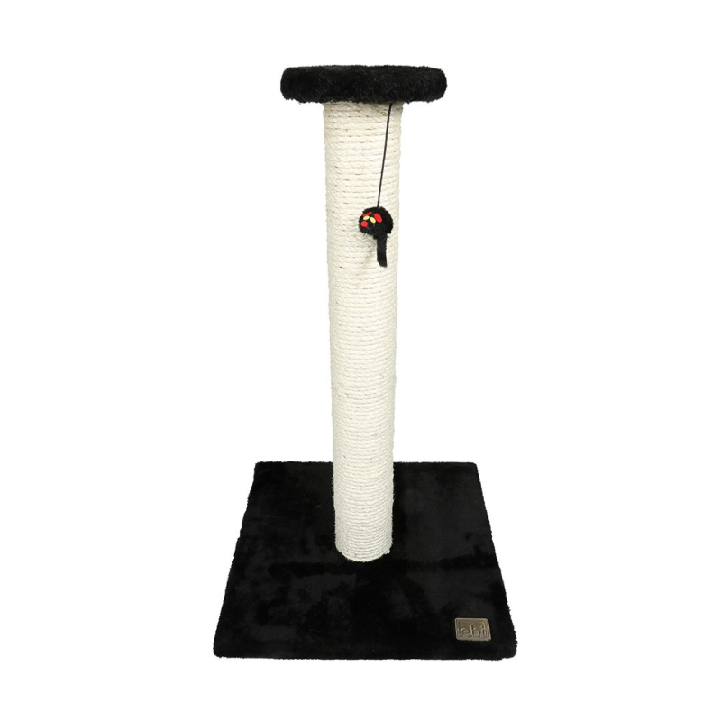 Griffoir Classic Stamp - Griffoir Élégant pour Chats