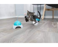 Jouet pour chat Catch Me avec télécommande - Stimulez l'instinct de chasse de votre félin