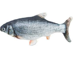 Poisson frétillant jeu pour chat - Trixie