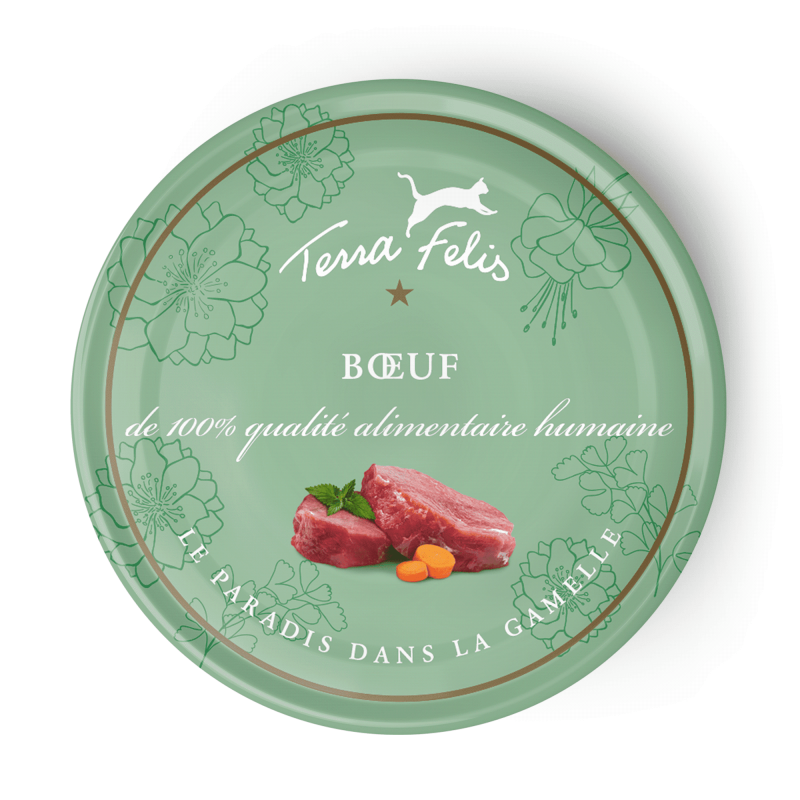 Terra Felis boeuf - Aliment complet pour chats adultes