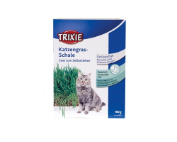 Graines pour herbe à chat 100 grammes – Bien-être et Digestion