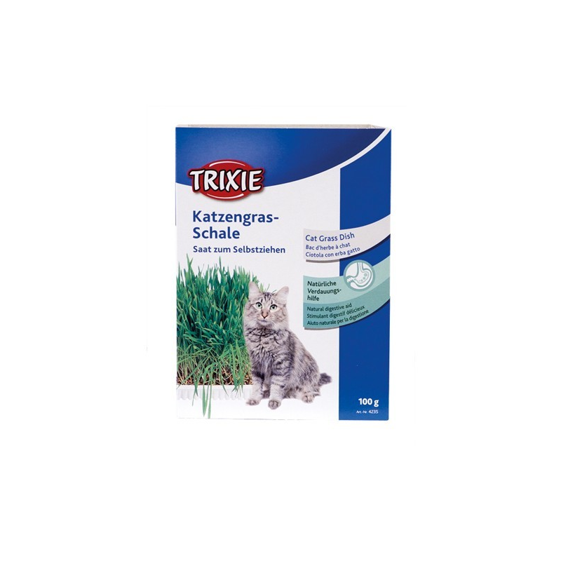Graines pour herbe à chat 100 grammes – Bien-être et Digestion