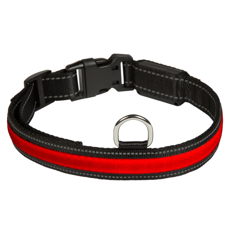 Collier lumineux rouge taille L pour chien - Sécurité nocturne