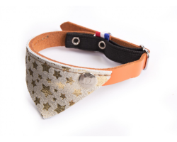 Collier chat Miami 30 doré/orange avec bandana en cuir - Élégance et sécurité