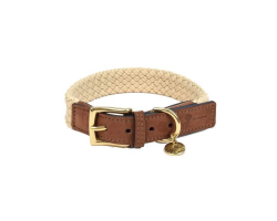 Collier pour chien Tau brun foncé en cuir nubuck | Animalerie Store