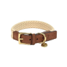 Collier pour chien Tau brun foncé en cuir nubuck | Animalerie Store