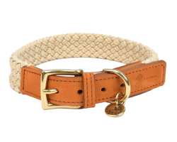 Collier pour chien Tau brun clair - Confort et style pour votre compagnon