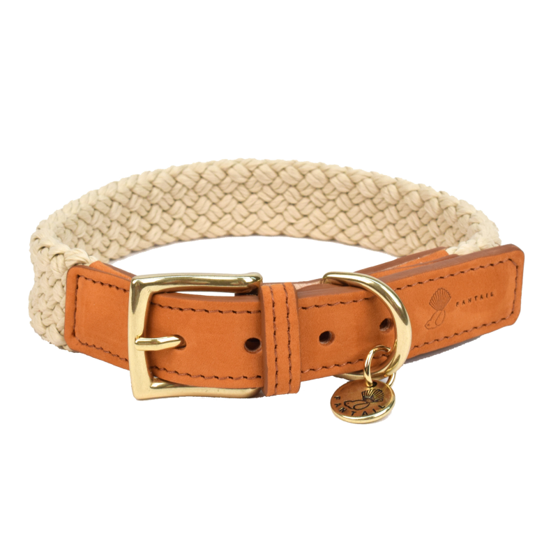 Collier pour chien Tau brun clair - Confort et style pour votre compagnon