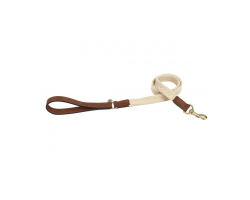 Laisse pour chien Tau brun foncé 120cm x 25mm - Cuir italien de qualité