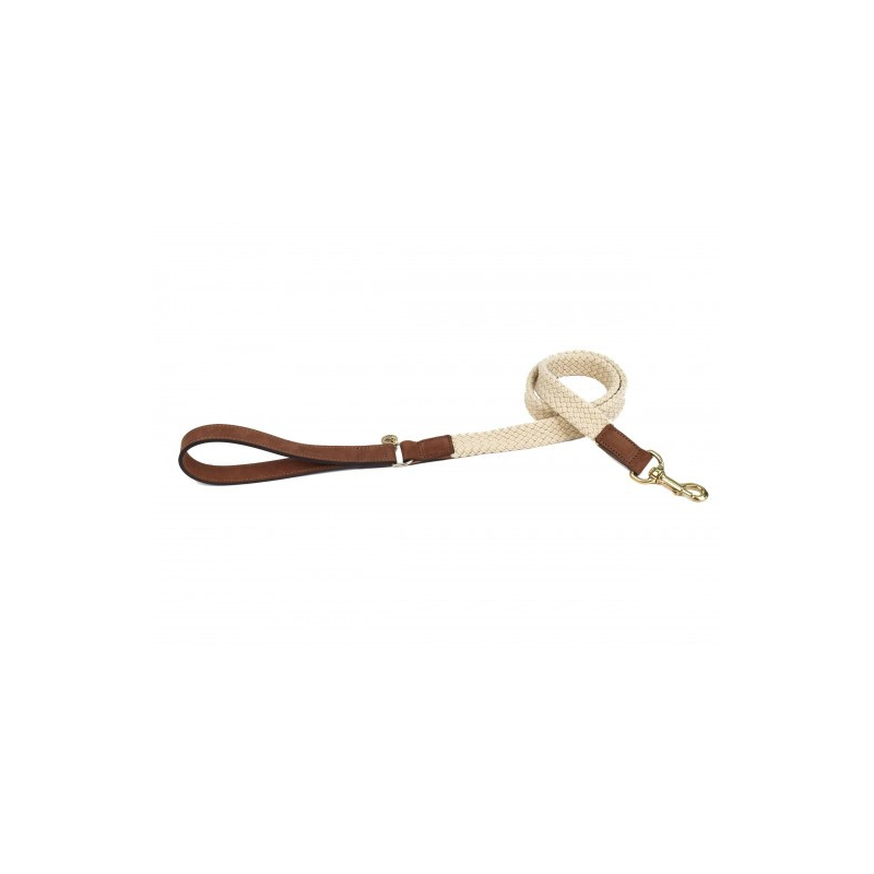 Laisse pour chien Tau brun foncé 120cm x 25mm - Cuir italien de qualité