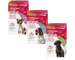 Fiprotec Combo - BEAPHAR pour chiens | Protection efficace contre les parasites